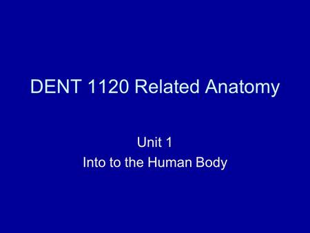 DENT 1120 Related Anatomy Unit 1 Into to the Human Body.