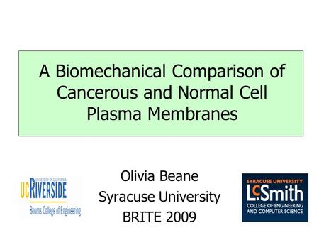 A Biomechanical Comparison of Cancerous and Normal Cell Plasma Membranes Olivia Beane Syracuse University BRITE 2009.
