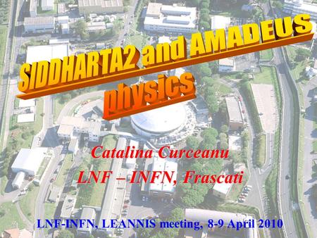 Catalina Curceanu LNF – INFN, Frascati LNF-INFN, LEANNIS meeting, 8-9 April 2010.