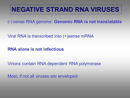 NEGATIVE STRAND RNA VIRUSES (-) sense RNA genome: Genomic RNA is not translatable Viral RNA is transcribed into (+)sense mRNA RNA alone is not infectious.