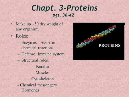 Chapt. 3-Proteins pgs. 36-42 Make up ~50 dry weight of any organism. Roles: –Enzymes. Assist in chemical reactions –Defense. Immune system –Structural.