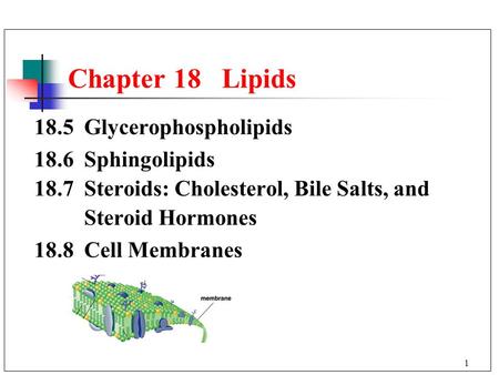 Chapter 18 Lipids 18.5 Glycerophospholipids 18.6 Sphingolipids