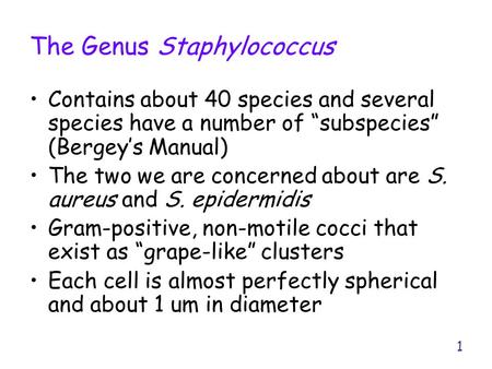 The Genus Staphylococcus