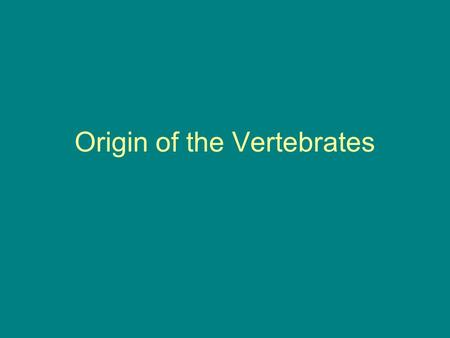 Origin of the Vertebrates. Early recognition that this forms a related grouping, based on certain characteristics in common: internal skeleton, circulation.