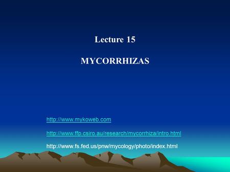 Lecture 15 MYCORRHIZAS http://www.mykoweb.com http://www.ffp.csiro.au/research/mycorrhiza/intro.html http://www.fs.fed.us/pnw/mycology/photo/index.html.