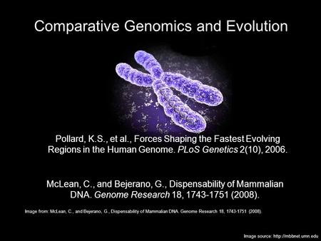 Comparative Genomics and Evolution Pollard, K.S., et al., Forces Shaping the Fastest Evolving Regions in the Human Genome. PLoS Genetics 2(10), 2006. McLean,