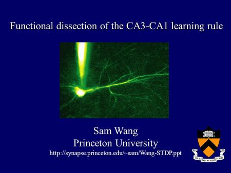 Functional dissection of the CA3-CA1 learning rule Sam Wang Princeton University