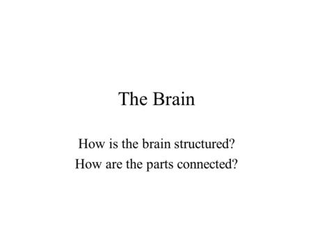 The Brain How is the brain structured? How are the parts connected?
