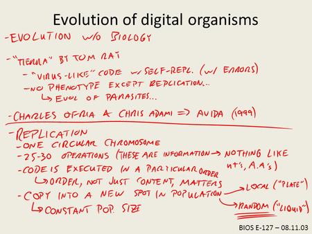 BIOS E-127 – 08.11.03 Evolution of digital organisms.