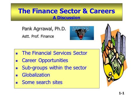 1-1 The Finance Sector & Careers A Discussion The Financial Services Sector Career Opportunities Sub-groups within the sector Globalization Some search.