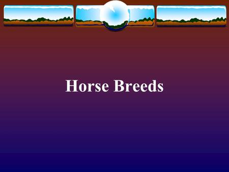 Horse Breeds.