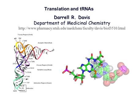 Darrell R. Davis Department of Medicinal Chemistry  Translation and tRNAs.