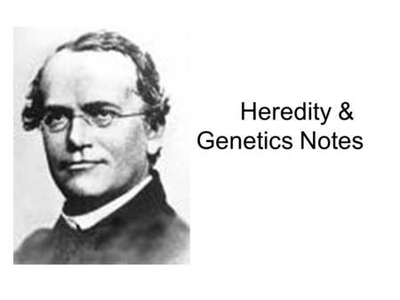 Heredity & Genetics Notes. Who is Gregor Mendel? He is the founder of modern genetics. He used garden pea plants to study the way traits are passed from.