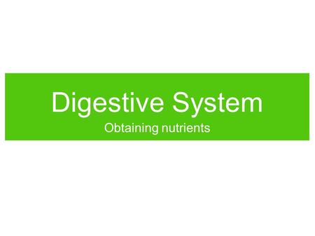 Digestive System Obtaining nutrients. Nutrition Energy Body cells need energy to run cell processes. Animals obtain chemical energy from food. Energy.