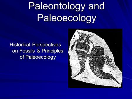 Paleontology and Paleoecology Historical Perspectives on Fossils & Principles of Paleoecology.