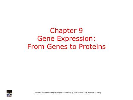 Chapter 9 Human Heredity by Michael Cummings ©2006 Brooks/Cole-Thomson Learning Chapter 9 Gene Expression: From Genes to Proteins.