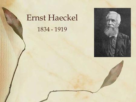 Ernst Haeckel 1834 - 1919. Life and Education Born in Prussia to well-educated Protestant parents Studied medicine at Wurzburg and the University of Berlin.