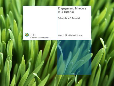 Engagement Schedule M-3 Tutorial Schedule M-3 Tutorial March 07 – United States.