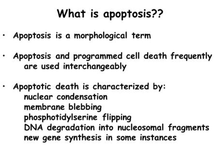 What is apoptosis?? Apoptosis is a morphological term