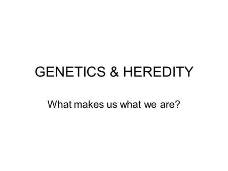 GENETICS & HEREDITY What makes us what we are?. Gregor Mendel Austrian monk in the 19 th century Gardener for the monastery Made observations about the.