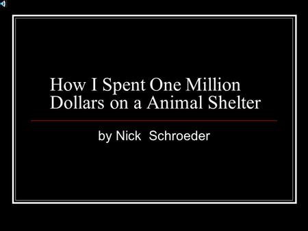 How I Spent One Million Dollars on a Animal Shelter by Nick Schroeder.
