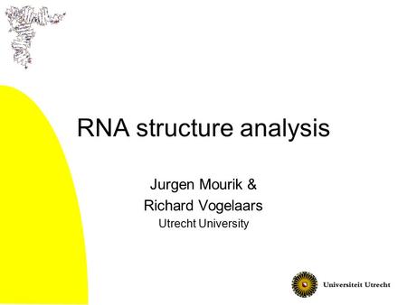 RNA structure analysis Jurgen Mourik & Richard Vogelaars Utrecht University.