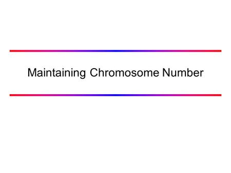 Maintaining Chromosome Number. Processes that affect chromosome number Meiosis –chromosome number is reduced by half Aneuploidy –addition or deletion.