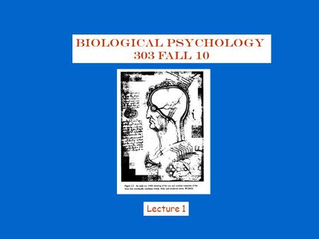 Biological Psychology 303 Fall 10 Lecture 1. Biopsychology: the study of the biological basis of behavior the study of :  Neuroanatomy: structure of.