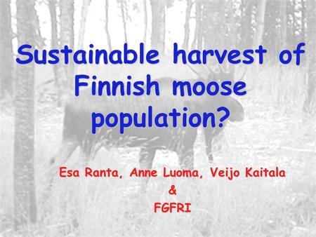 Sustainable harvest of Finnish moose population? Esa Ranta, Anne Luoma, Veijo Kaitala &FGFRI.