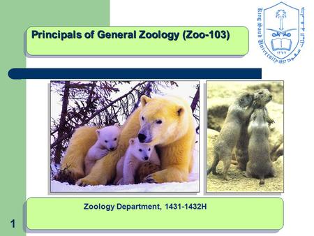 1 Principals of General Zoology (Zoo-103) Zoology Department, 1431-1432H.