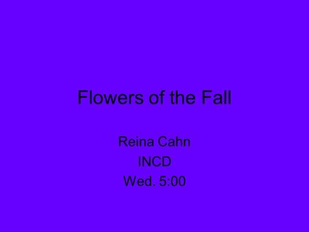 Flowers of the Fall Reina Cahn INCD Wed. 5:00. Amaranthus.
