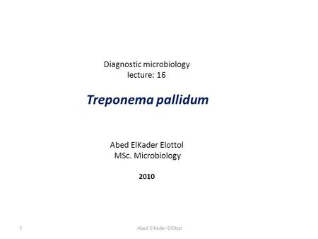 Diagnostic microbiology lecture: 16 Treponema pallidum Abed ElKader Elottol MSc. Microbiology 2010 1Abed ElKader ElOttol.