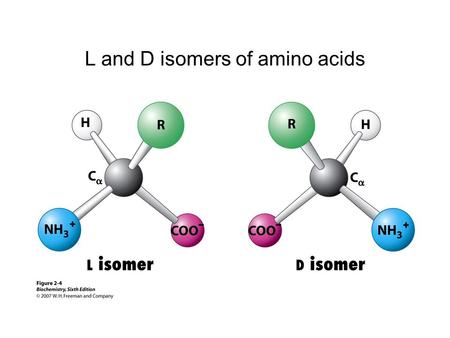 L and D isomers of amino acids. Ionization state as a function of pH.