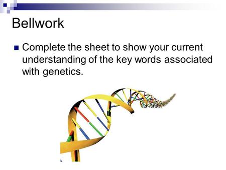 Bellwork Complete the sheet to show your current understanding of the key words associated with genetics.