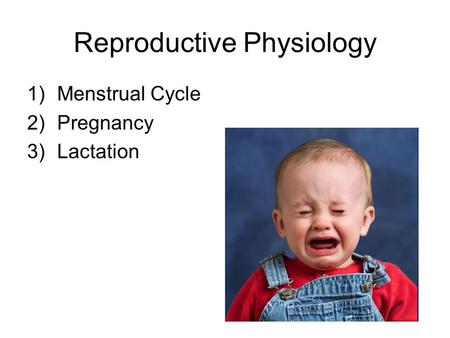 Reproductive Physiology 1)Menstrual Cycle 2)Pregnancy 3)Lactation.