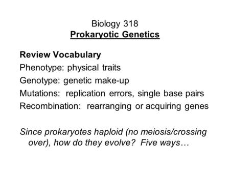 Biology 318 Prokaryotic Genetics Review Vocabulary Phenotype: physical traits Genotype: genetic make-up Mutations: replication errors, single base pairs.