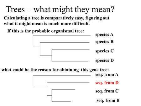Trees – what might they mean? Calculating a tree is comparatively easy, figuring out what it might mean is much more difficult. If this is the probable.
