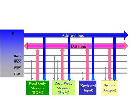 P Address bus Data bus Read-Only Memory (ROM) Read-Write Memory (RAM)