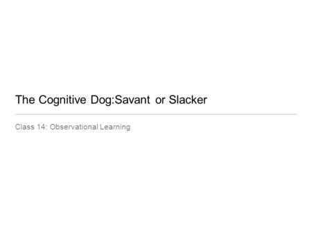 The Cognitive Dog:Savant or Slacker Class 14: Observational Learning.