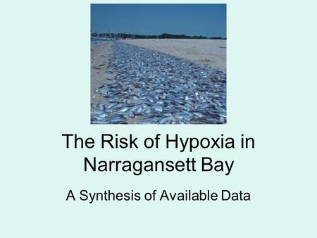 The Risk of Hypoxia in Narragansett Bay A Synthesis of Available Data.