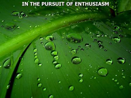 IN THE PURSUIT OF ENTHUSIASM. Luke 19:1 Then Jesus entered and passed through Jericho. 2 Now behold, there was a man named Zacchaeus who was a chief tax.