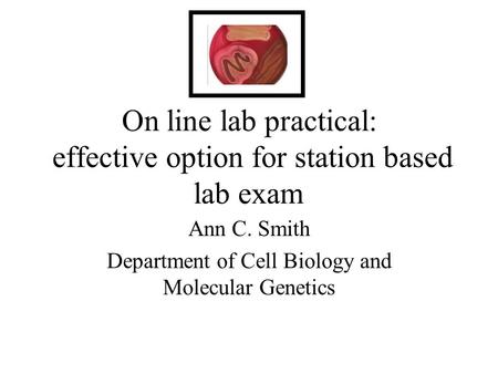 On line lab practical: effective option for station based lab exam Ann C. Smith Department of Cell Biology and Molecular Genetics.