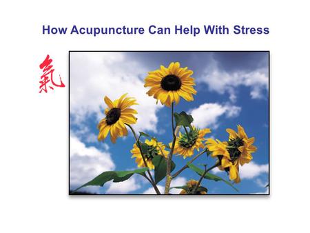 How Acupuncture Can Help With Stress. How Much Stress Do You Have? 62% of Americans say work has a significant impact on stress levels. 73% of Americans.