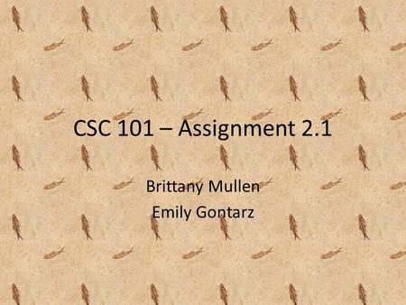CSC 101 – Assignment 2.1 Brittany Mullen Emily Gontarz.