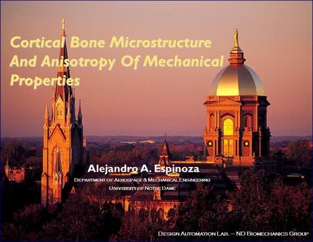 Design Automation Lab. – ND Biomechanics Group Cortical Bone Microstructure And Anisotropy Of Mechanical Properties Alejandro A. Espinoza Department of.