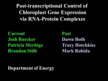 Post-transcriptional Control of Chloroplast Gene Expression via RNA-Protein Complexes CurrentPast Josh BaeckerDawn Both Patricia MerhigeTracy Hotchkiss.