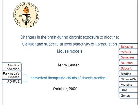 Changes in the brain during chronic exposure to nicotine: Cellular and subcellular level selectivity of upregulation Mouse models October, 2009 Henry.