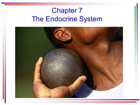 Chapter 7 The Endocrine System. Two systems that coordinate physiological functions of humans 1.The nervous system 2.The endocrine system.