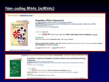 Non-coding RNAs (ncRNAs)