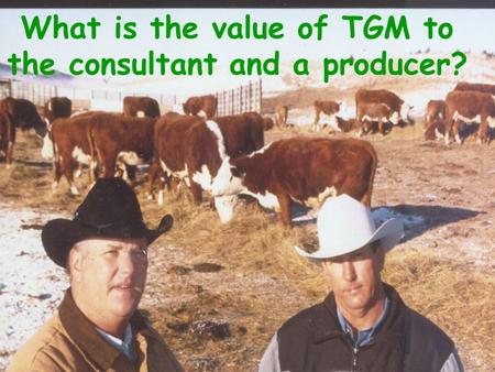 What is the value of TGM to the consultant and a producer?